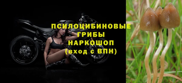 крисы Аркадак