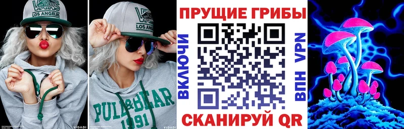 Псилоцибиновые грибы мухоморы  где можно купить   Советск 